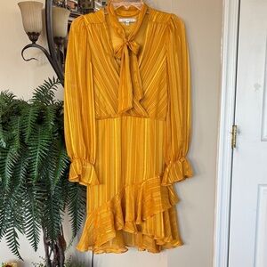 Julia Jordan Tie Neck Short Ruffle Dress Textured Chiffon Bell Sleeve Fit Flare